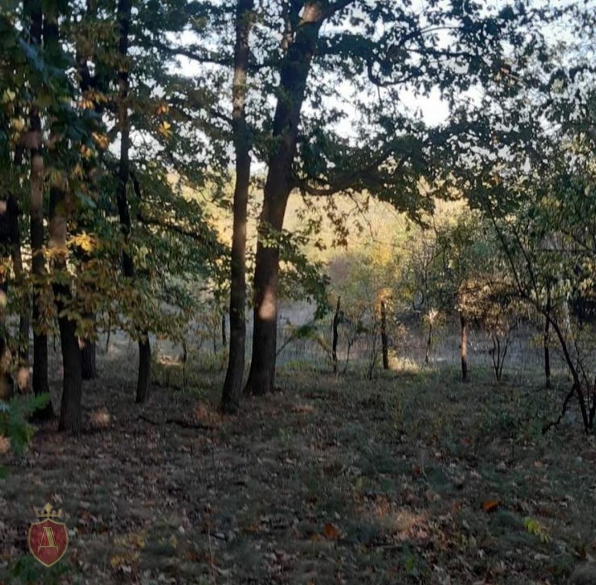 Plac sa šumom i vikendicom na prodaju